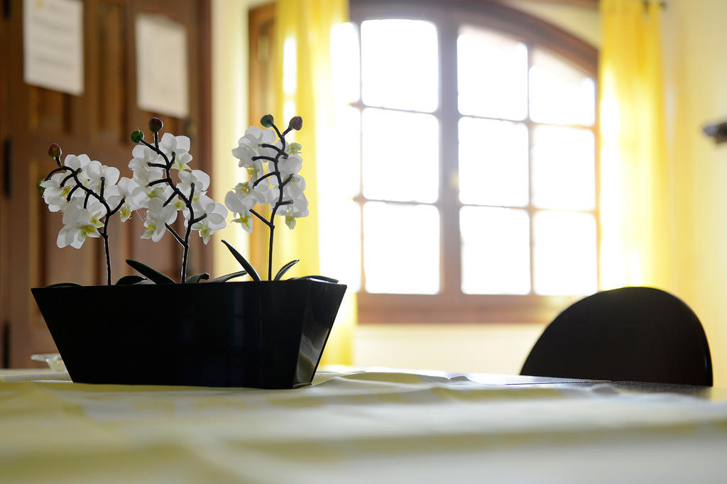 Apartamentos Bellavista Alquézar Zimmer foto